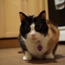 Fundraising Page: Narissa Turner